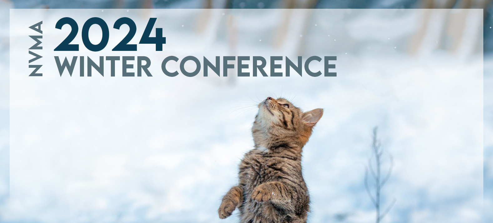 Winter Conference